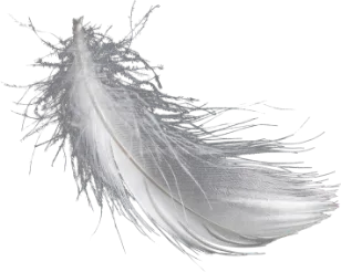 Feather