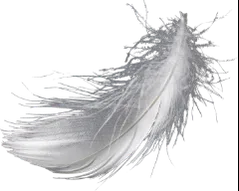 Feather